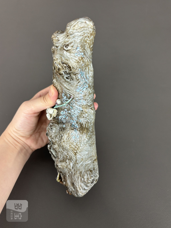 清乾隆 唐英制粉彩梅桩灵芝壁瓶 - 图9